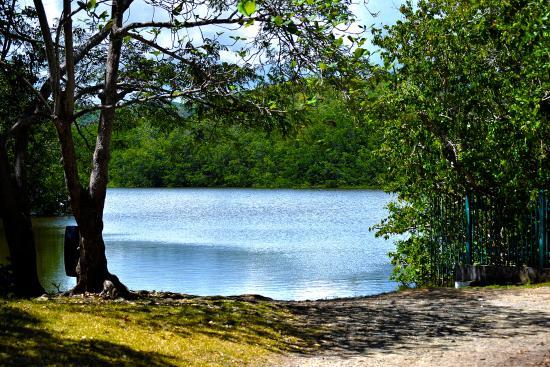 Natural Reserve of Humacao